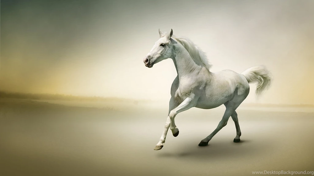 1920x1080 Beautiful Horse Wallpapers