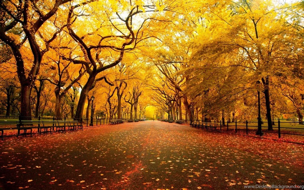 Wallpapers Free Hd,desktop Wallpapers