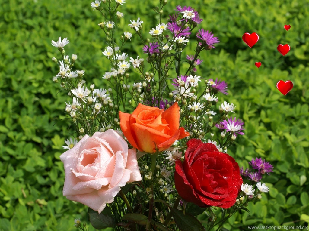 Love Wallpapers   Valentine Roses