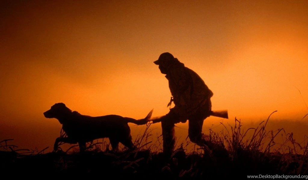 Hunting Awesome Wallpapers In Hd Free