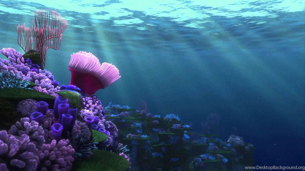 Best 1000 Screensaver: Saving Nemo Screensaver