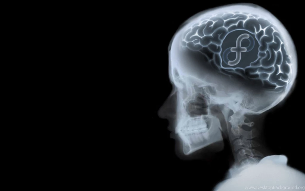 Smart Fedora Skull Xray Desktop Wallpapers