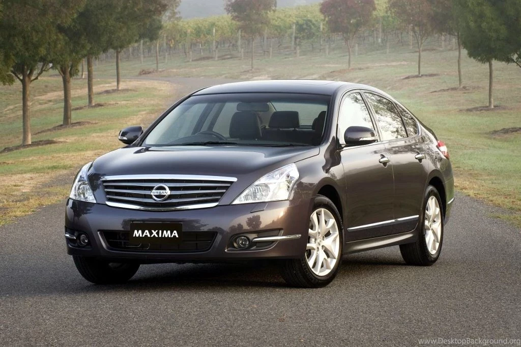 Nissan Maxima Decals