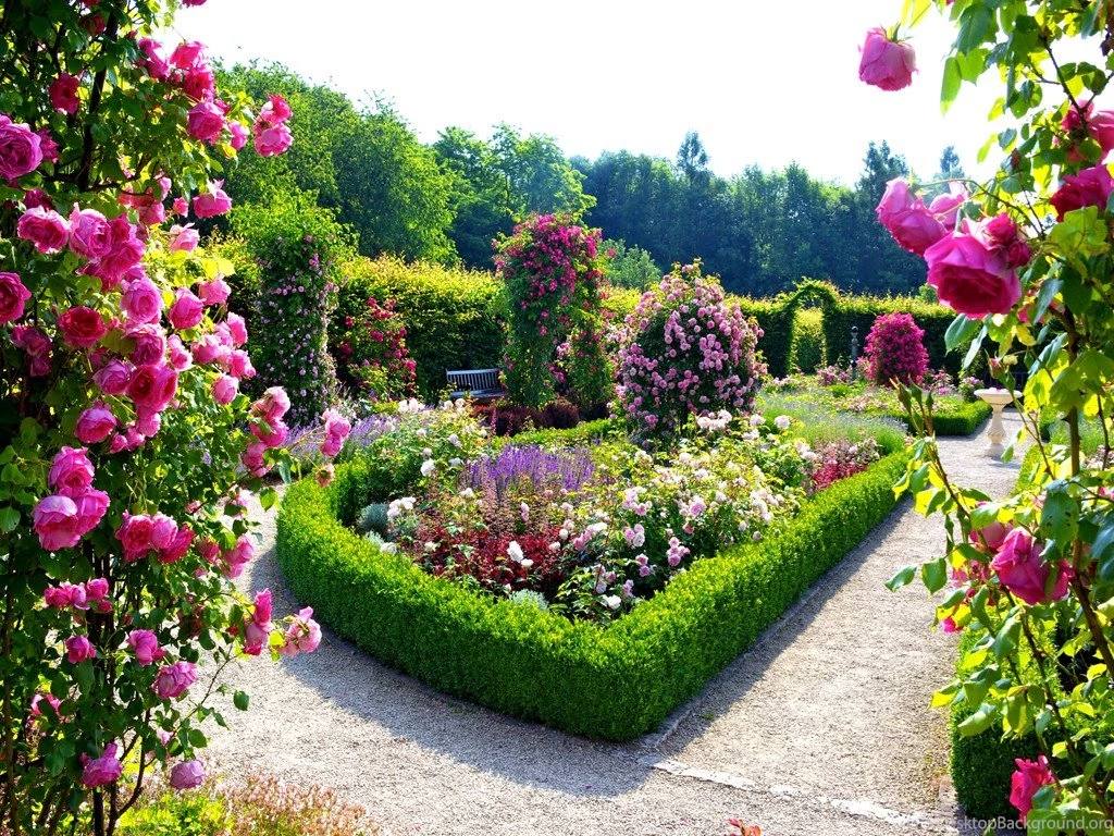 Nature Nature Wallpapers For Desktop Hd – Fine HD Wallpapaper RR