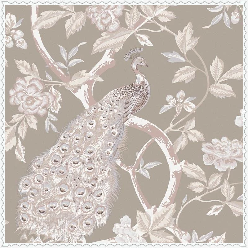 Shand Kydd Wallpapers   Wallpapers : Cool Wallpapers