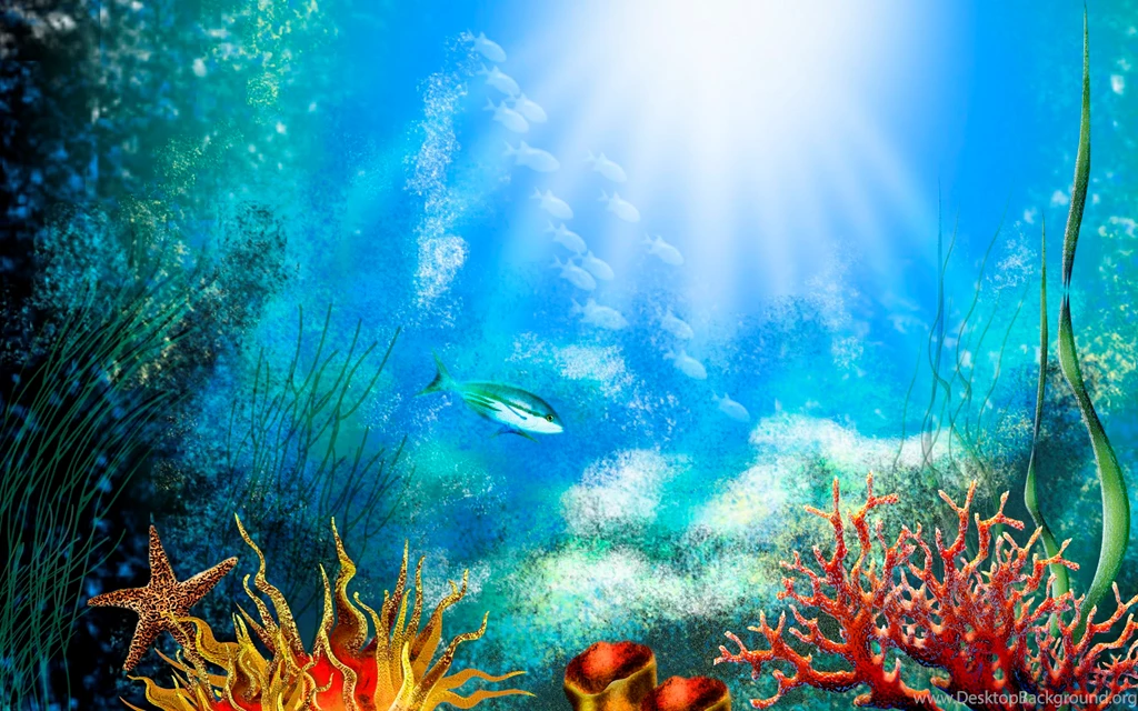 Fish Tank Hd Wallpapers 3D