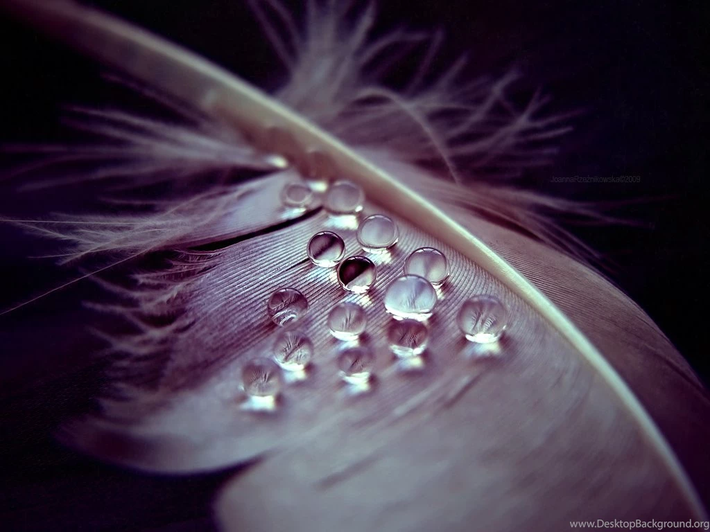 Weeping Angel II By JoannaRzeznikowska On DeviantArt