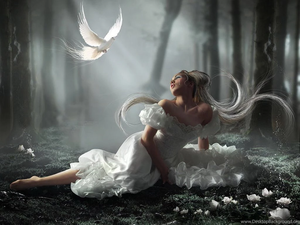 Wallpapers Weeping Angels Nature Angel 1024x768