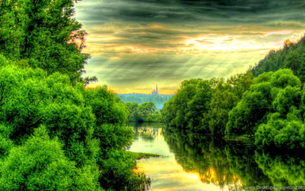 Dark Green Forest By The River Wallpaper_other_health Questions ...