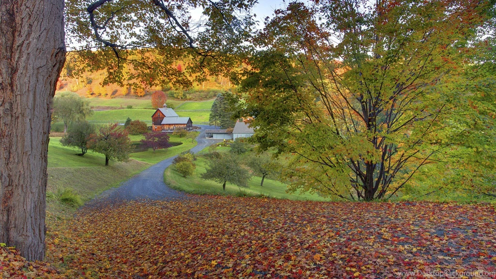 Wallpaper, Autumn, Beautiful, Nature, Scenery, Garden (