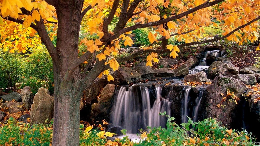 Beautiful Natural Scenery Wallpapers (4)