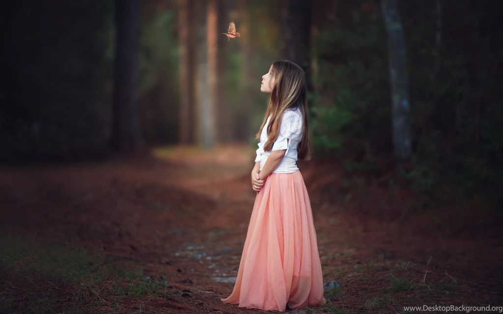 Butterfly Wallpapers