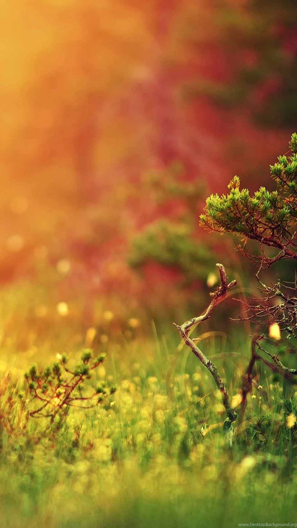 Nature S4 Wallpapers