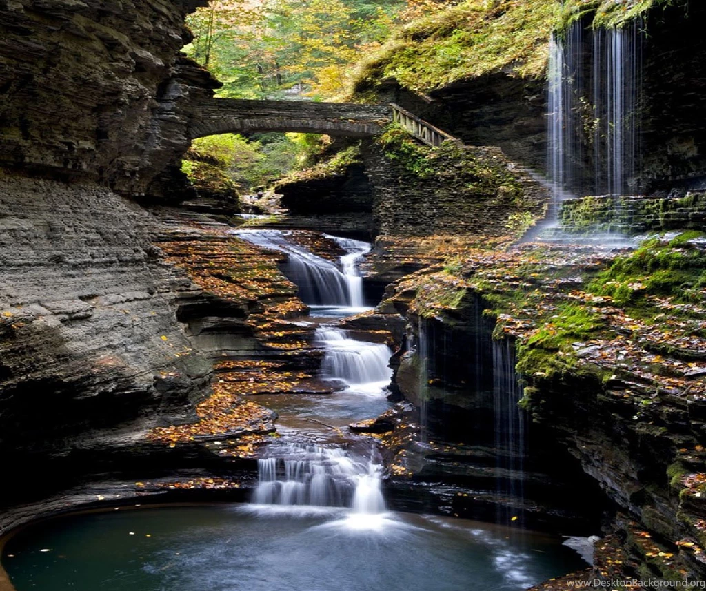 Hd Nature Images, Wallpapers Of Natures, Organic, Widescreen ...
