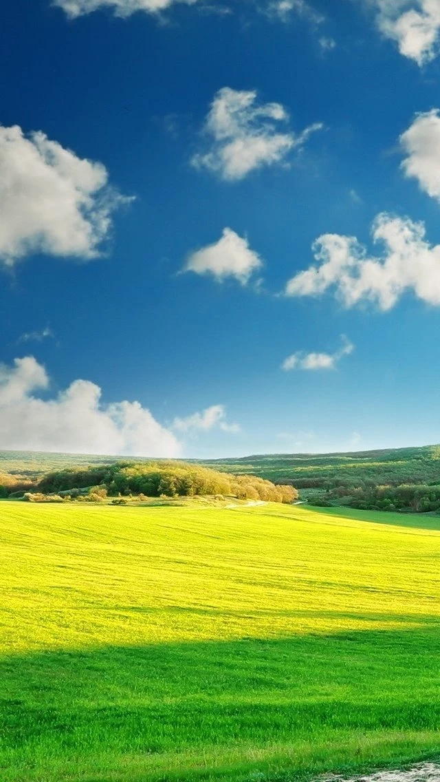 Awesome Phone Nature Wallpapers VD6