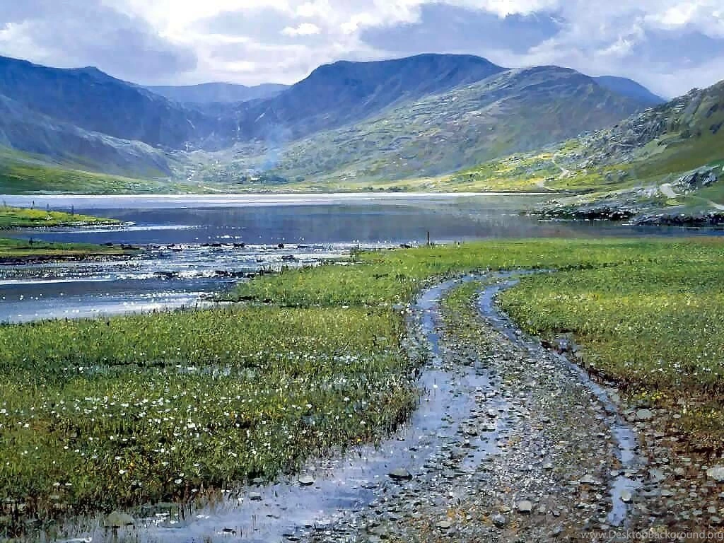 Garden Within Cloon Lake Kerry Ireland Nature Wallpapers Image ...