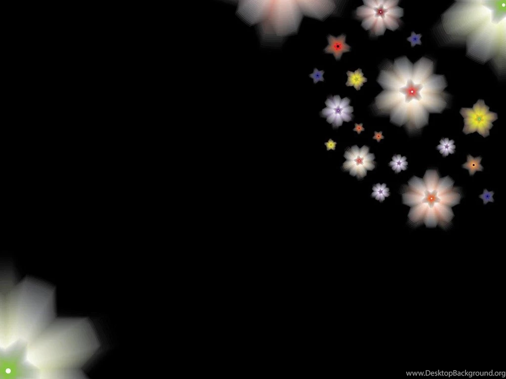 Flowers On Black Backgrounds (