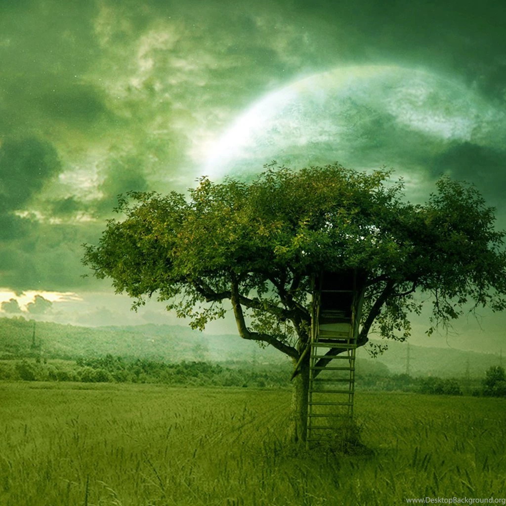 New World Tree House iPad Wallpapers Download