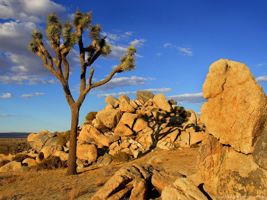 Free PC Wallpapers, Wallpapers For PC, PC Backgrounds, PC ...