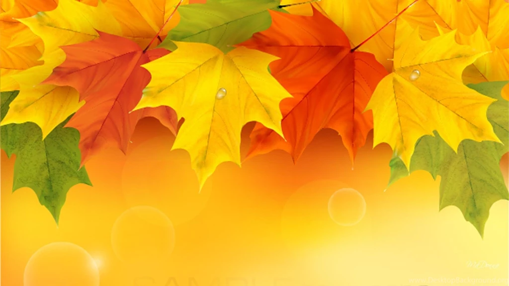 Maple Leaf Wallpapers High Resolution 11136 Pacify Mind