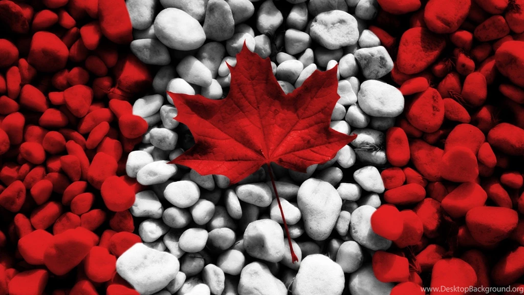 Maple Leaf Wallpapers