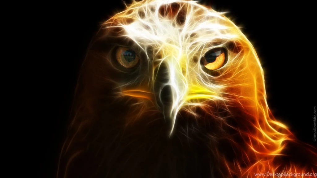 Hd Wallpapers 1080p Eagle Jacob Golden Eagle 1080p Hd. Eagle ...