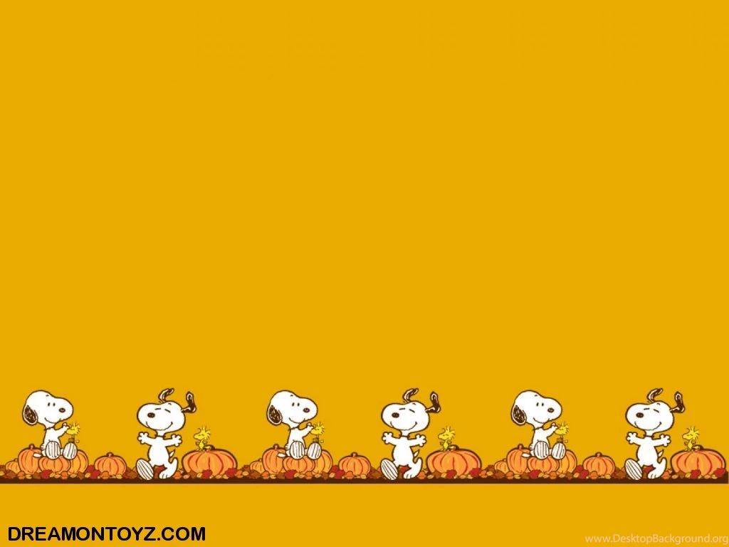 Peanuts Wallpapers For Computer 11362 Pacify Mind