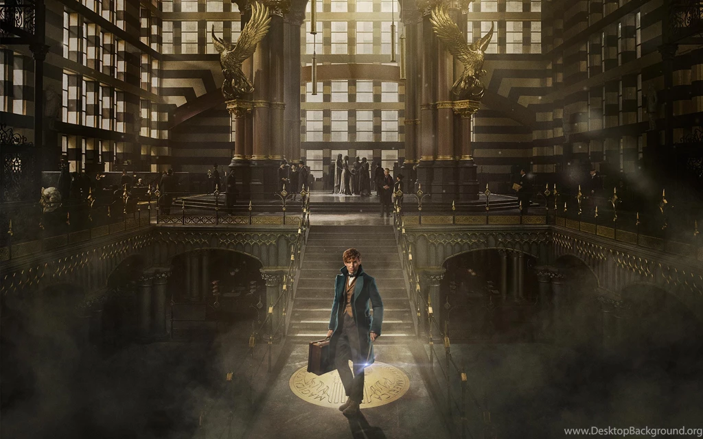 Fantastic Beasts And Where To Find Them 2016 Wallpapers