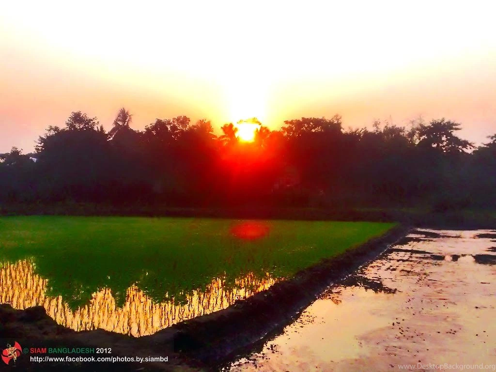 Flag Of Bangladesh The Symbol Of Natural Landscape