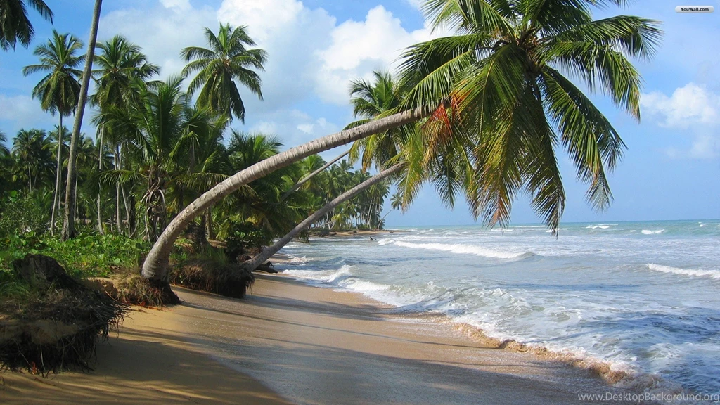 YouWall   Sightly Tropical Beach Wallpapers   Wallpaper,wallpapers ...