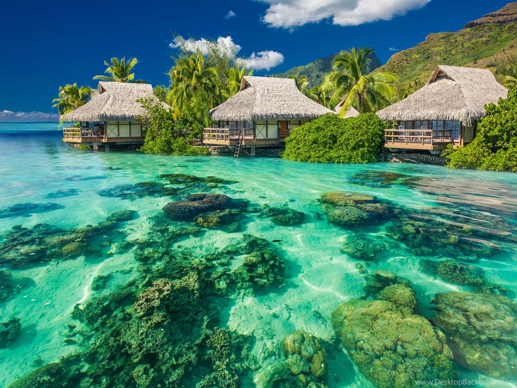 Ocean Wallpapers Tropical Beach