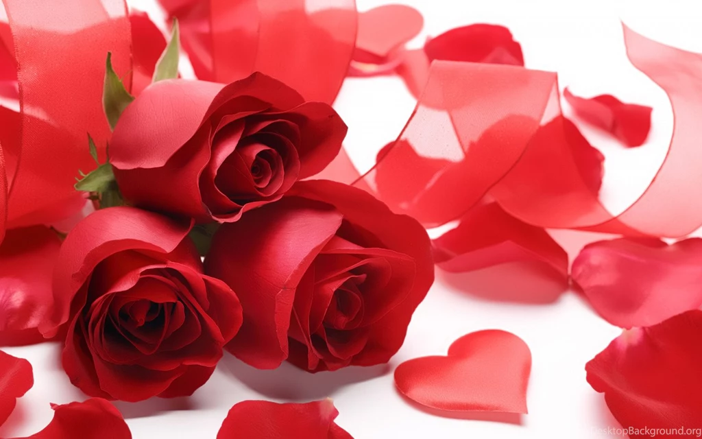 Soft Red Roses, Petals, Ribbon, Heart Widescreen Wallpapers
