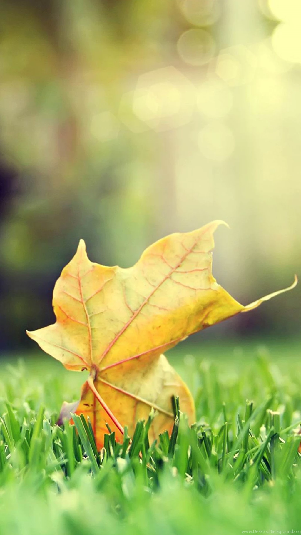 S5 Wallpapers HD, Galaxy S5 Wallpapers HD, 1080x1920 Wallpapers