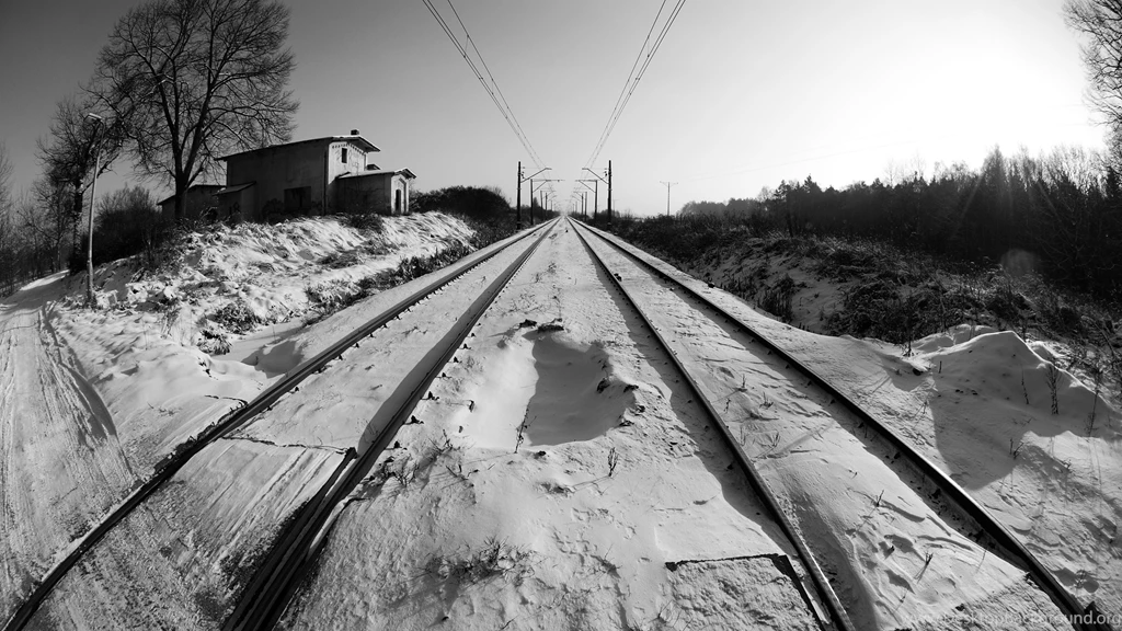 Download Free Modern Fisheye BW The Wallpapers 2560x1440