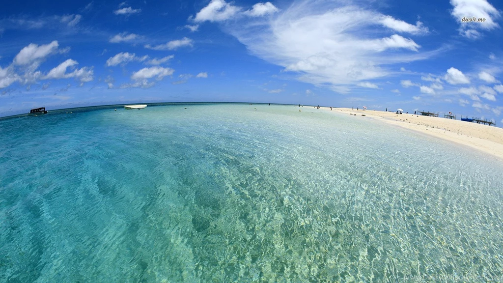 Wallpapers Beach Vector Art Fisheye 1366x768