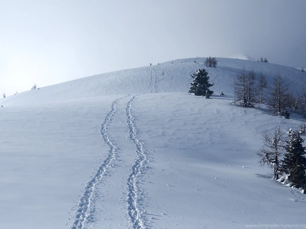 Top Ubuntu Wallpapers Folder Wallpapers