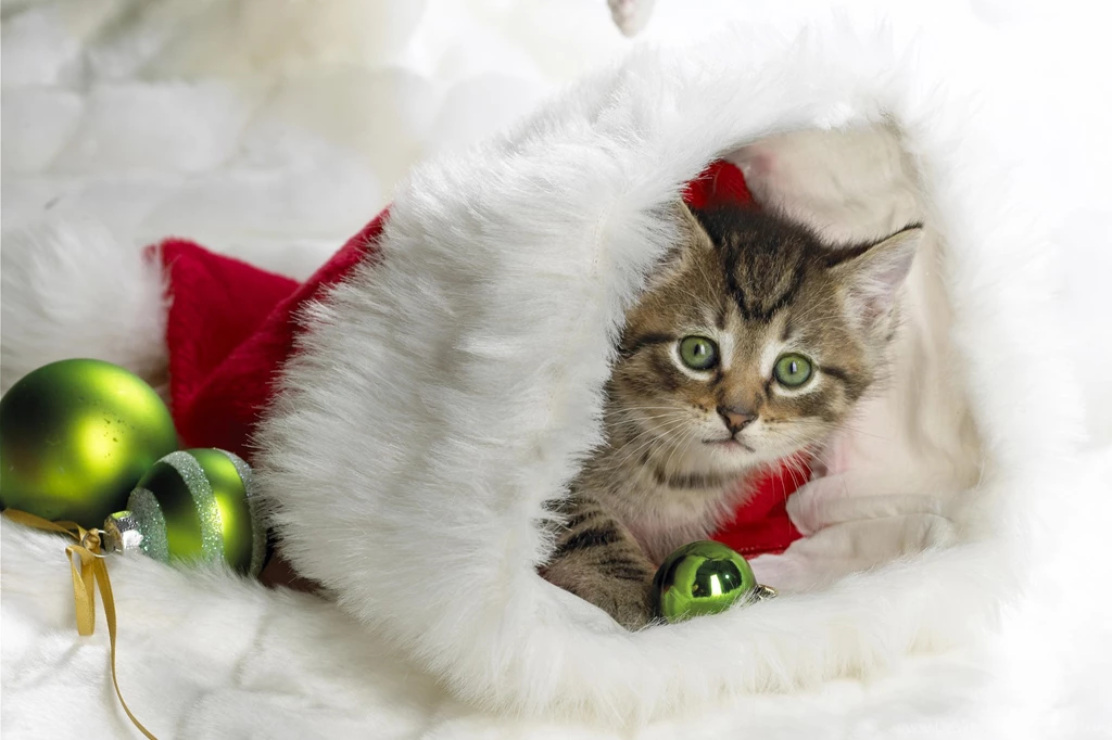 Christmas Wallpapers