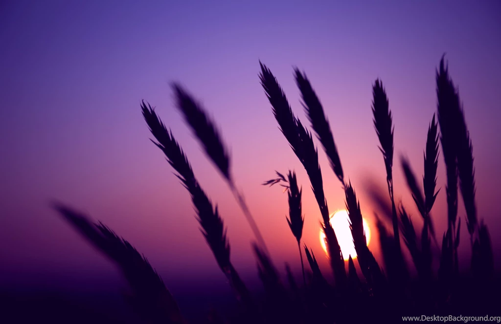 15 Stunning HD Purple Wallpapers HDWallSource.com
