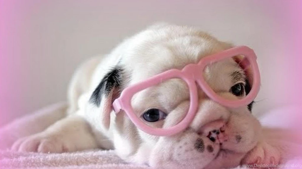 CUTIE WALLPAPER (