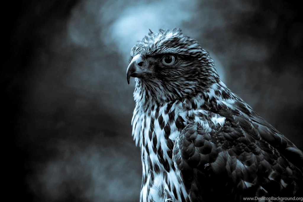 Cool 3D Wallpapers HD 6782o Wallpapers HD Fix