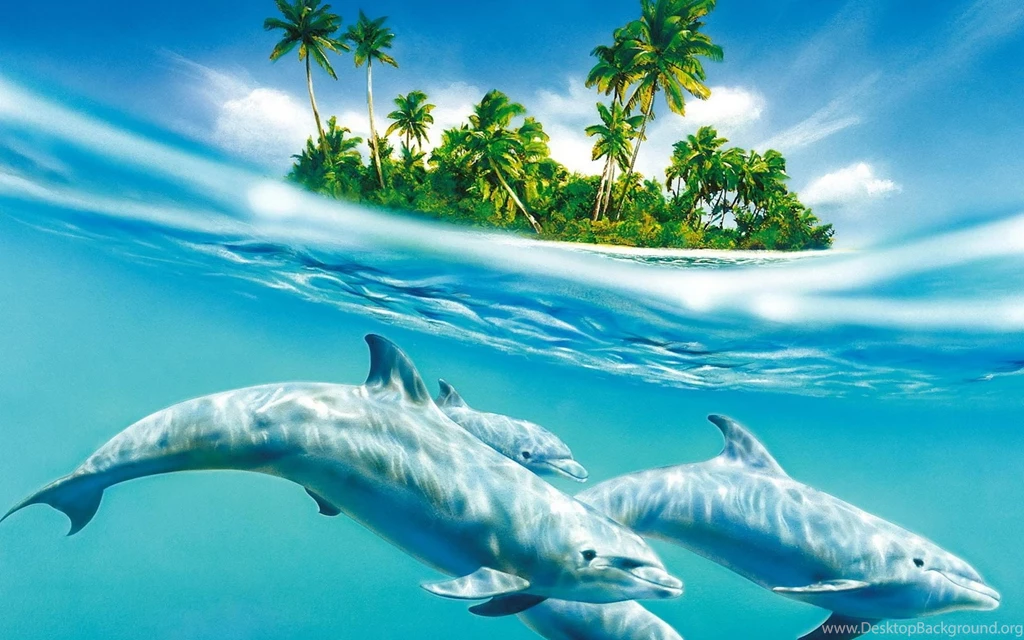 Blue 3d Dolphins Cool Wallpapers Wide 3d