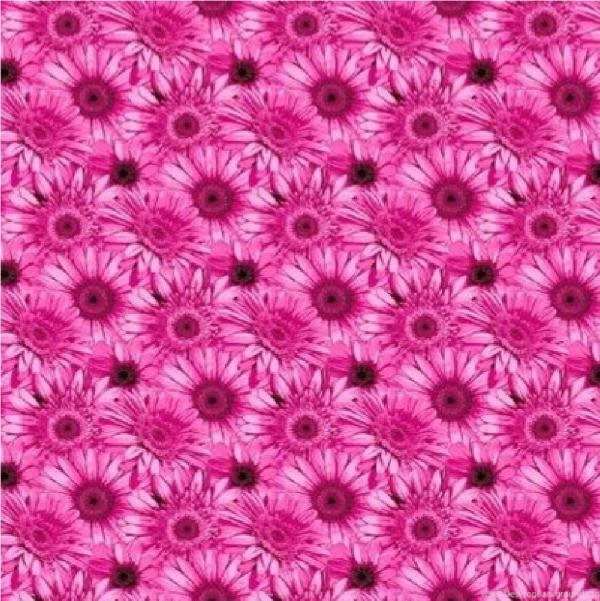 NEW LUXURY DEBONA GERBERA DAISY FLOWER MODERN BRIGHT FLORAL 10M ...