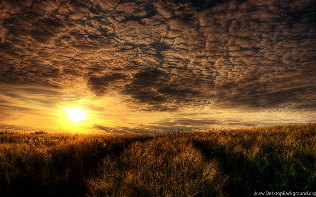 High Resolution Summer Photo Amazing Wallpapers Full Size ...