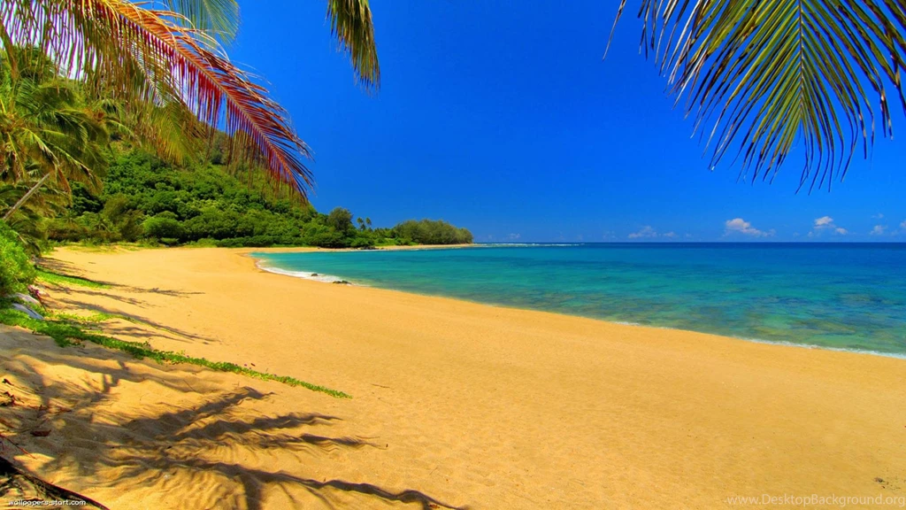 Summer Widescreen Wallpapers Nekeran.com
