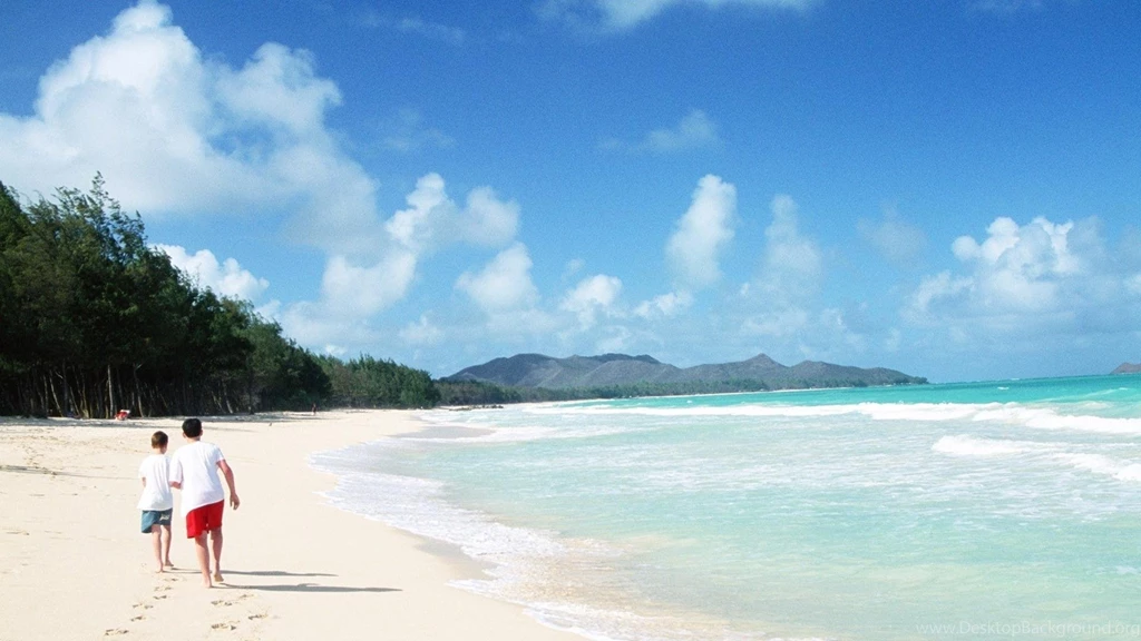 Landscapes Nature Summer Widescreen Wallpapers