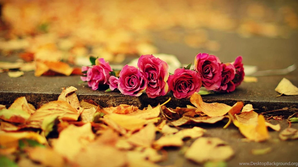 55+ Most Trendy Pretty Wallpapers HD Over The Top Mag