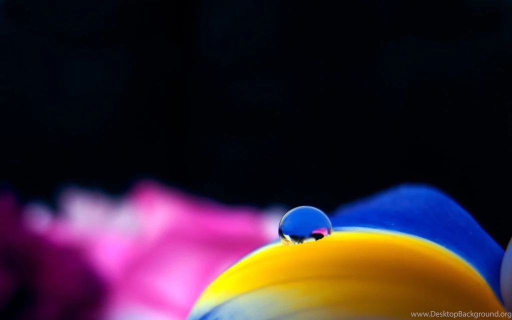 A Drop Of Water Best HD Wallpapers Hebus.org High Definition ...