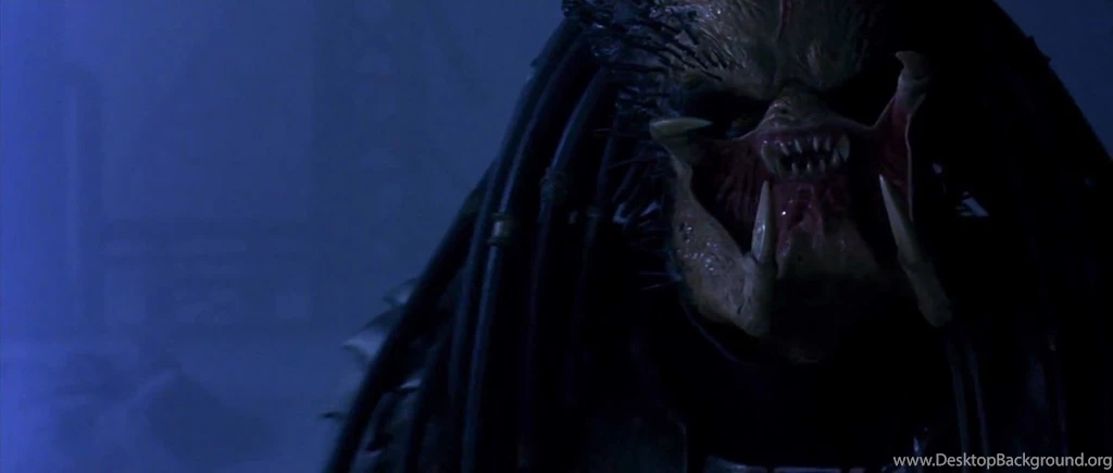 You're A Yautja With A Big Ugly Face ! By Grisador On DeviantArt