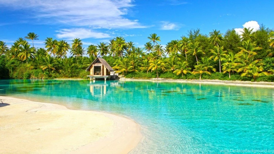 Incredible Aqua Blue Clear Lagoon Bora Bora Paradise Isl Polynesia ...