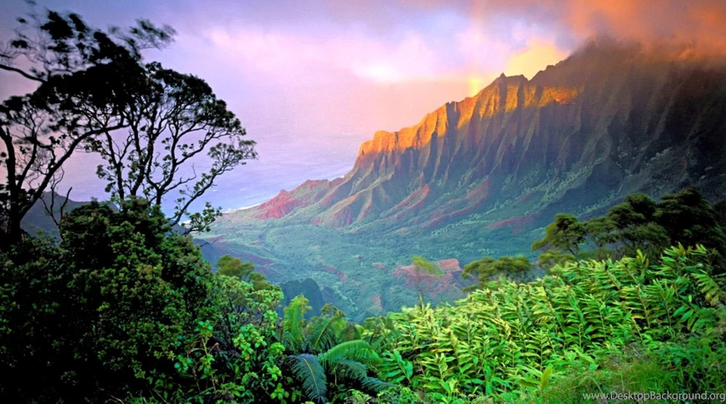Beautiful High Resolution Backgrounds